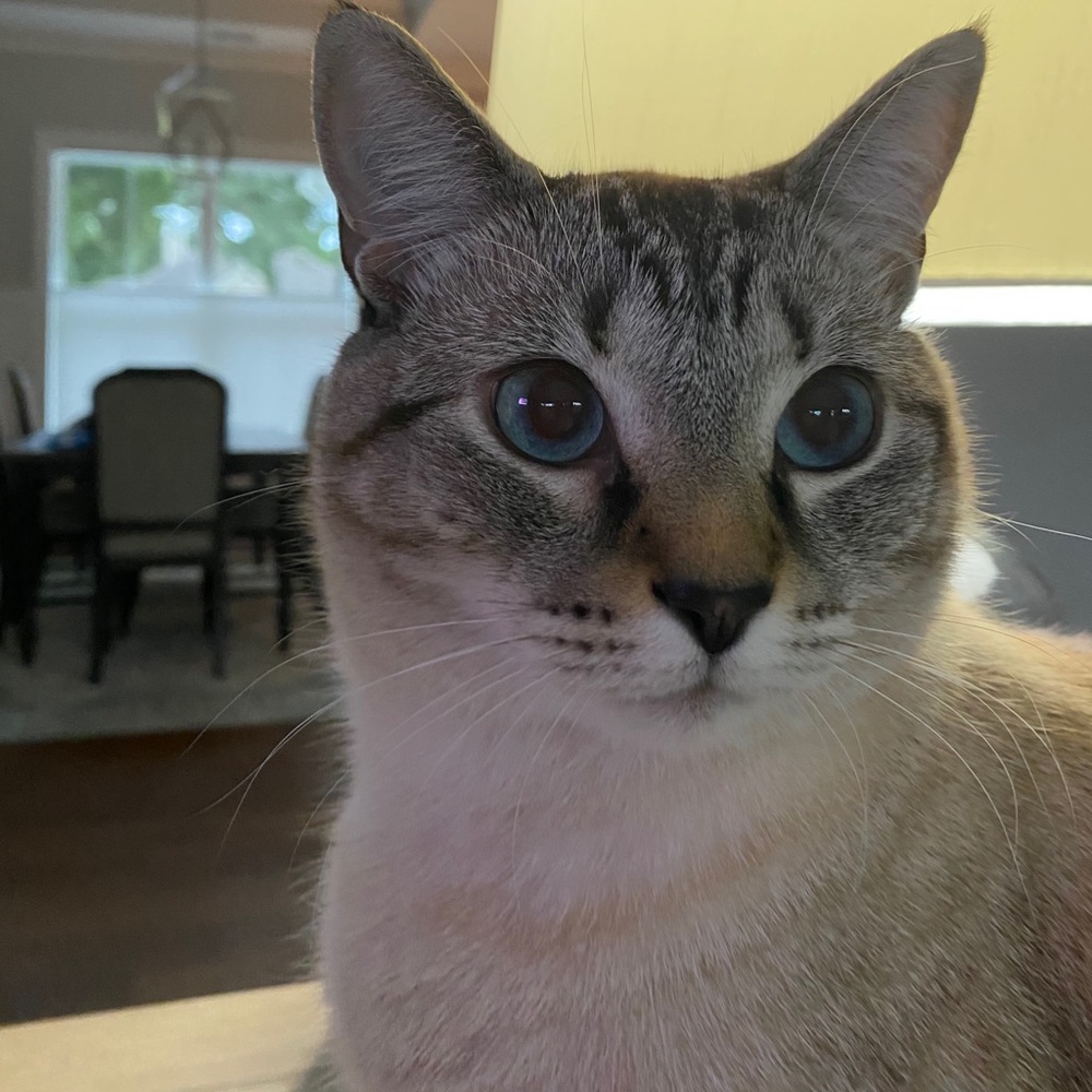 Meet your Posher, Mary a